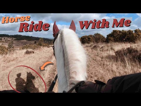 POV Horse Ride With Me! + Tacking Up Routine | This Esme