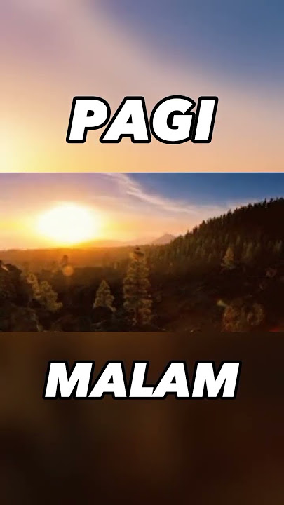 Antara Pagi dan Malam | From YouTube Channel @allidainnmeowwuuu9510