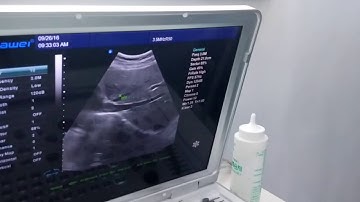 DW-C60PLUS demo video