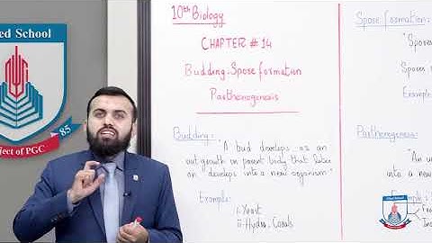 Class 10 - Biology - Chapter 14 - Lecture 2 - Budding spore formation - Allied Schools
