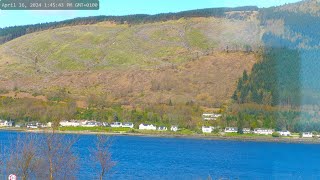 Holy Loch And Wildlife  Dunoon Scotland
