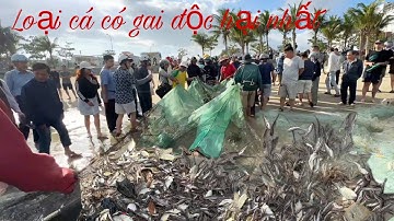 Liều Mình Vượt Sóng Cao 2Mét Để Đánh Cá Trước Cơn Bão Số 15