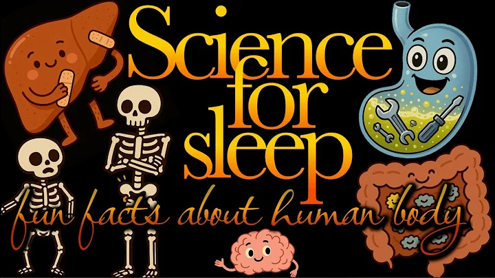Science For Sleep💤'Fun Facts About Human Body'💤Bedtime Story For Grown Ups💤 Documentary Sleep Story thumbnail