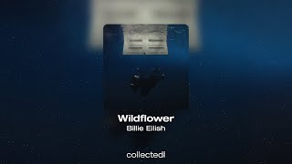 Billie Eilish - Wildflower by Collected Vibes 527 views 2 weeks ago 4 minutes, 21 seconds