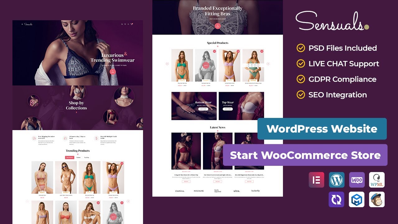 8 of the Best Lingerie WooCommerce Themes for Selling Bras & Underwear