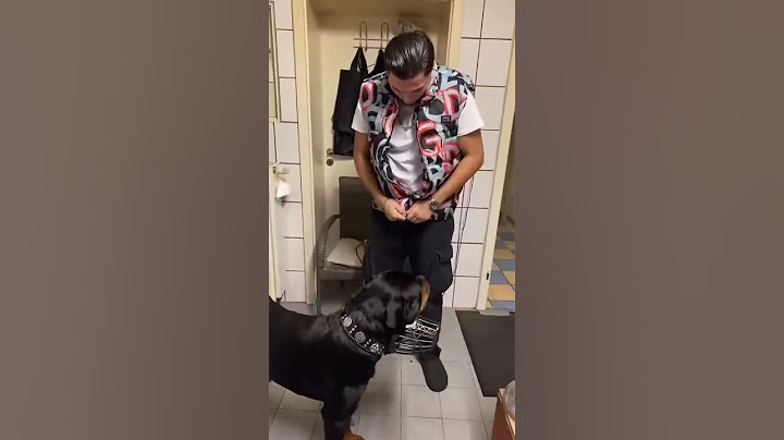 Canelo vs. 4 Ausländer