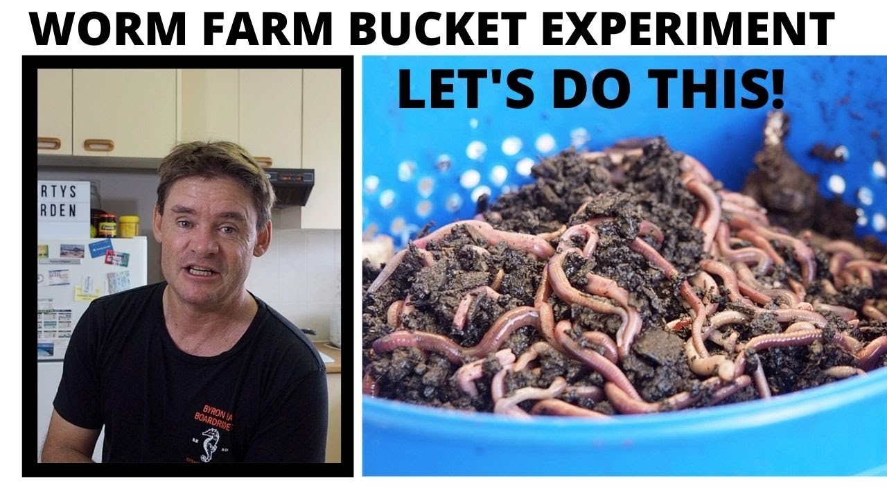 Can You Farm Worms in a Bucket? YOU SURE CAN!