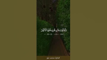 ﴿وَالسّابِقونَ الأَوَّلونَ مِنَ المُهاجِرينَ وَالأَنصارِ﴾ | تلاوة بديعه بصوت القارئ :الحارث محمد نور