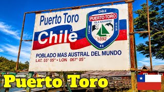 Así es VIAJAR al poblado MÁS AUSTRAL DEL MUNDO ⛴️🌳🏡