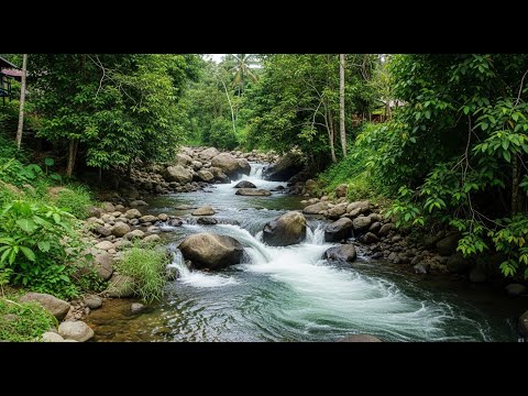 relaxing water sounds for sleeping | river asmr for sleep