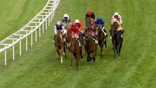 Vidéo de la course PMU PRIX ARGUMENT