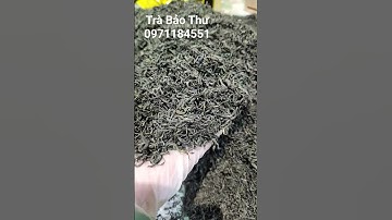 Chè búp mới sao vị đậm nước vàng ánh xanh đặc sản chè thái nguyên