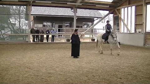 Barockes Reiten mit Richard Hinrichs