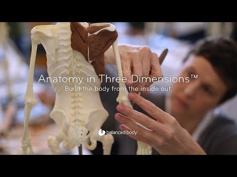 Anatomy in Three Dimensions™