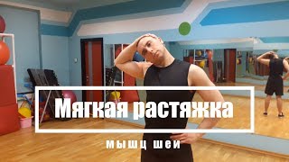 Мягкая растяжка мышц шеи