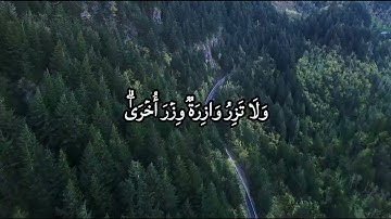 تلاوة خاشعة من سورة الإسراء | "من اهتدى فإنما يهتدي لنفسه" بصوت القارئ أنس عمر