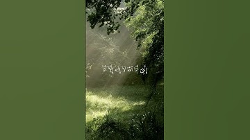 سورة طه القارئ شريف مصطفى