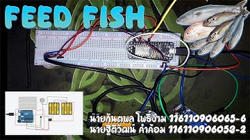 ระบบให้อาหารปลาอัตโนมัติ  - Blynk - Nodemcu esp8266 - MYSQL