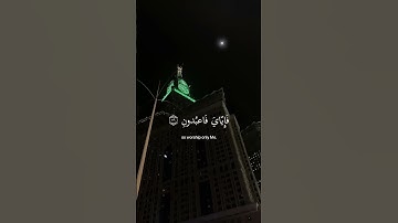 سورة العنكبوت|اجر لي ولكم انشروا الفيد عندكم (الوصف مهم‼️‼️)#قرآن #رمضان #لا_اله_الا_الله