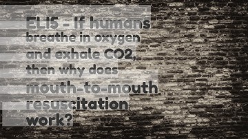 ELI5  If humans breathe in oxygen and exhale CO2 then why does mouthtomouth resuscitation work