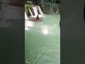 uses leg to swing mam #fypシ゚viral #travel #waterfalls #good #nature #tourism #fypシ゚viral