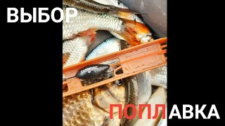 видео: Выбор поплавка для маховой и болнской ловли. Элементы поплавочной оснастки. Часть 3 картинка: Выбор поплавка для маховой и болнской ловли. Элементы поплавочной оснастки. Часть 3