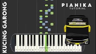 Pianika Telolet Basuri KUCING GARONG DAV - Tutorial Pianika
