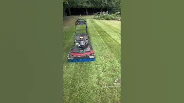 Toro Timemaster Lawnmower Mower Toro 