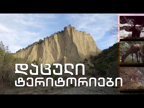 ტელებლოგი - „საქართველოს დაცული ტერიტორიები“