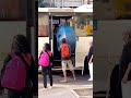 Tem de tudo no ônibus: homem entra com caixa d'água em coletivo no Rio