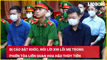 Bị cáo bật khóc, nói lời xin lỗi mẹ trong phiên tòa liên quan hoa hậu Thùy Tiên| Báo Lao Động