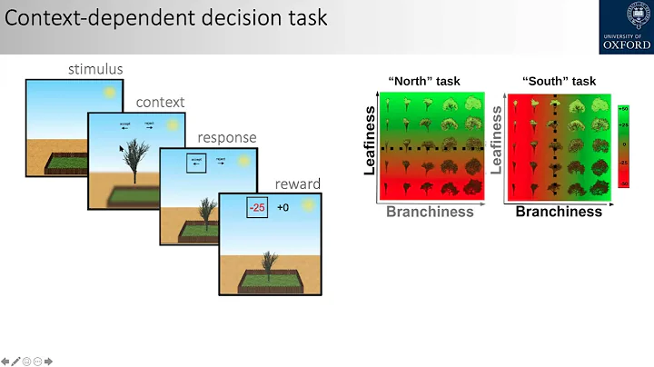 "Multitask performance humans and deep neural netw...