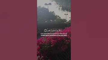 ( وَهُوَ مَعَكُمْ أَيْنَ مَا كُنتُمْ ) القارئ شريف مصطفى