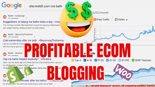 Profit Boosting Blog Plan for eCom Sites Under 1K Visitors Month Update
