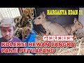 GEREBEK KOLEKSI HEWAN LANGKA PANJI PETUALANG - HARGANYA EDAN BANGET !!!