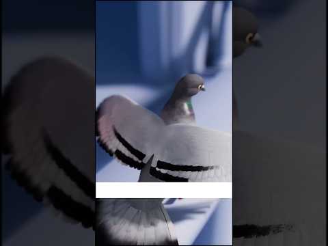 Shimbir Yar Oo Xabsiga Daroogo Geyn Jirtay Shimbir Yar Oo Xabsiga Daroogo Geyn Jirtay