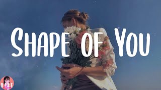 Ed Sheeran - Shape of You (Lyrics)