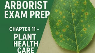 Arborist Exam Prep: Chapter 11 - Plant Health Care