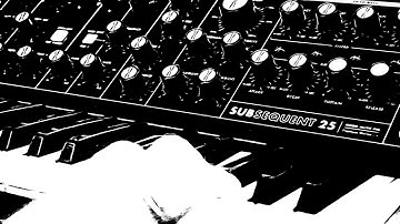 Evening inspiration with Subsequent 25