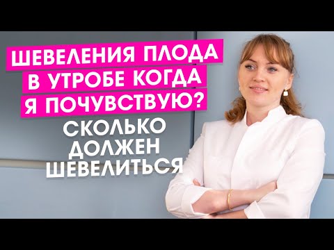 Шевеления плода в утробе. Когда я почувствую? Сколько должен шевелиться?