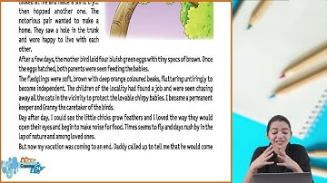 Ch 16 | Writing Essays | Grammar | Class 4 | For children