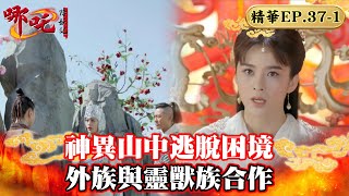 神異山中逃脫困境 外族與靈獸族合作｜蔣依依、吳佳怡、代超、朱聖禕、魏巍晴【哪吒降妖記 Legend of Nezha EP37-1精華版】