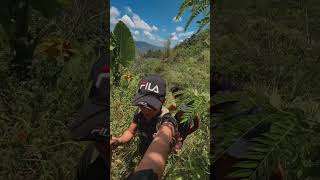 The circuit Trail (6 towers) #nature #travel #cebu #trail #hiking #mountains #adventure