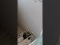 Tel Aviv Apartment destroyed by an Iranian missile