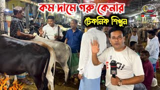 কম দামে কিভাবে গরু কিনবেন? আকরাম ভাইয়ের কাছ থেকে শিখুন! গাবতলী গরুর হাট 2024