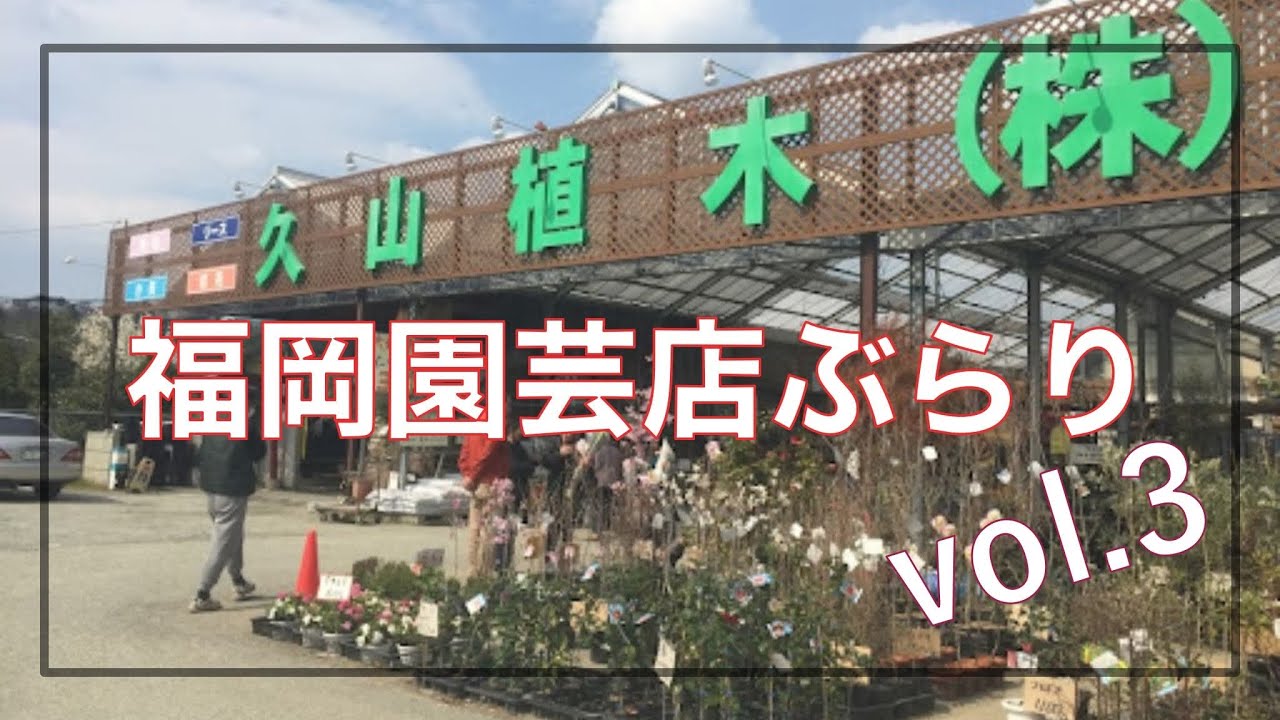 園芸ぶらりvol.3【久山植木】4K