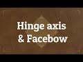 Hinge axis and Facebow