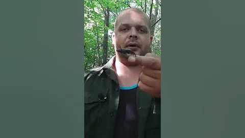 Проверяю больно ли кусает жук олень