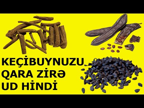 Video: Pənaji və panjim eynidır?