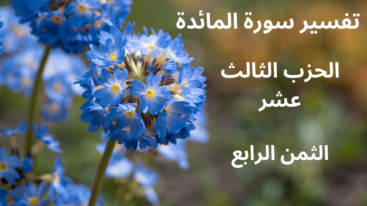 تفسير سورة المائدة : الحزب الثالث عشر، الثمن الرابع